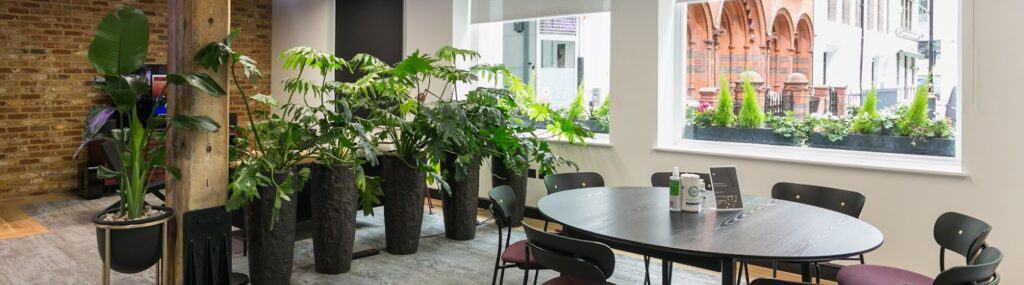 social-responsibility