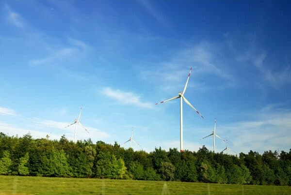 A daytime landscape featuring five wind turbines of varying heights with three blades each, positioned above a dense forest. The sky is clear and blue with wispy clouds, and the scene is brightly lit by sunlight.