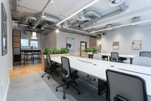 A spacious office with long shared desks, mesh-back chairs, and planter dividers filled with greenery. Exposed ventilation runs across the ceiling, and a small bar-height table sits in the background.