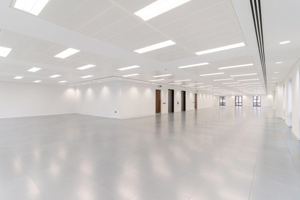 Large refurbished workspace featuring modern ceiling panels, upgraded LED lighting, newly installed flooring, and enhanced window detailing.