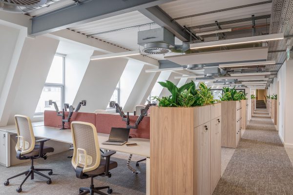 Open-plan CAT B office fit out with desk clusters, monitor arms, integrated planter storage and exposed services ceiling.