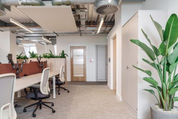 Open-plan CAT B workspace with ergonomic desks, integrated planting and modern services-led ceiling design.